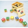 ABC WOODEN BLOCKS (27PCS) 